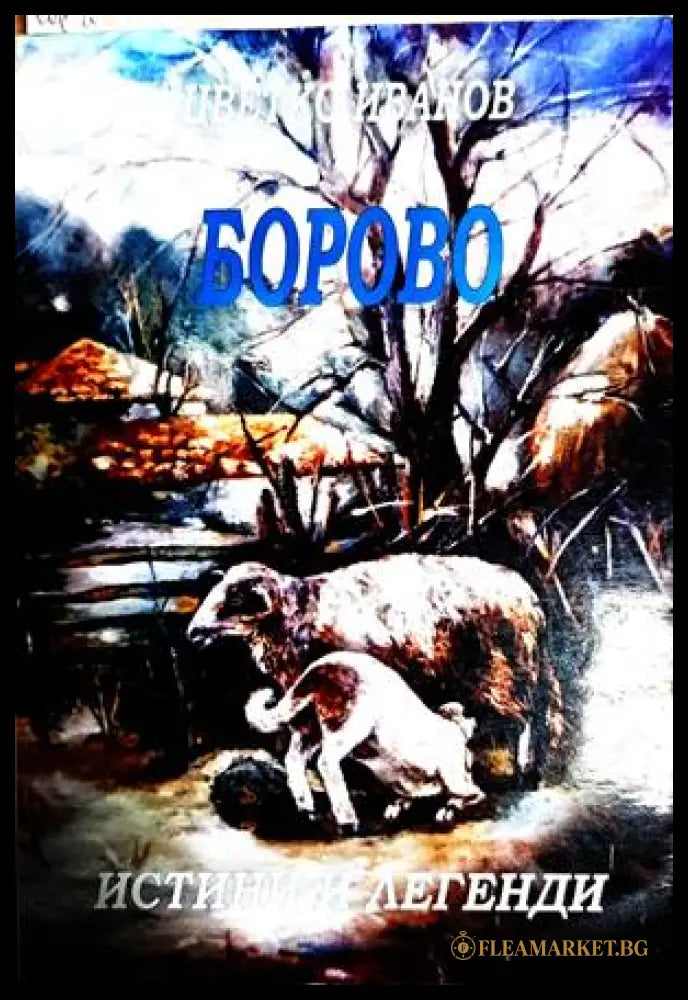 Борово - истини и легенди - Цветко Иванов