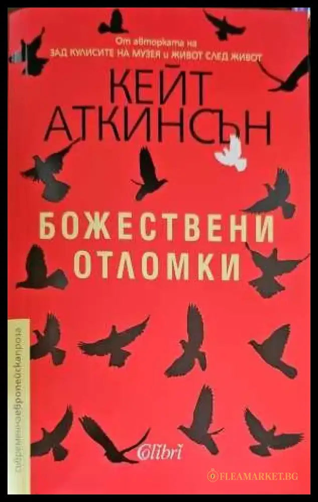 Божествени отломки - Книги