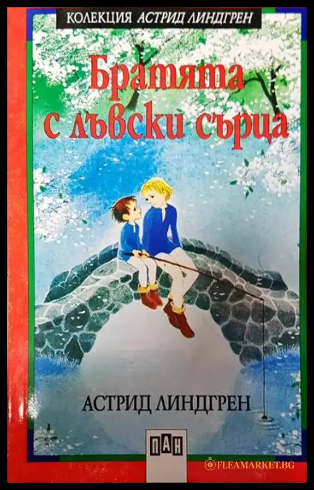 Братята с лъвски сърца - Книга