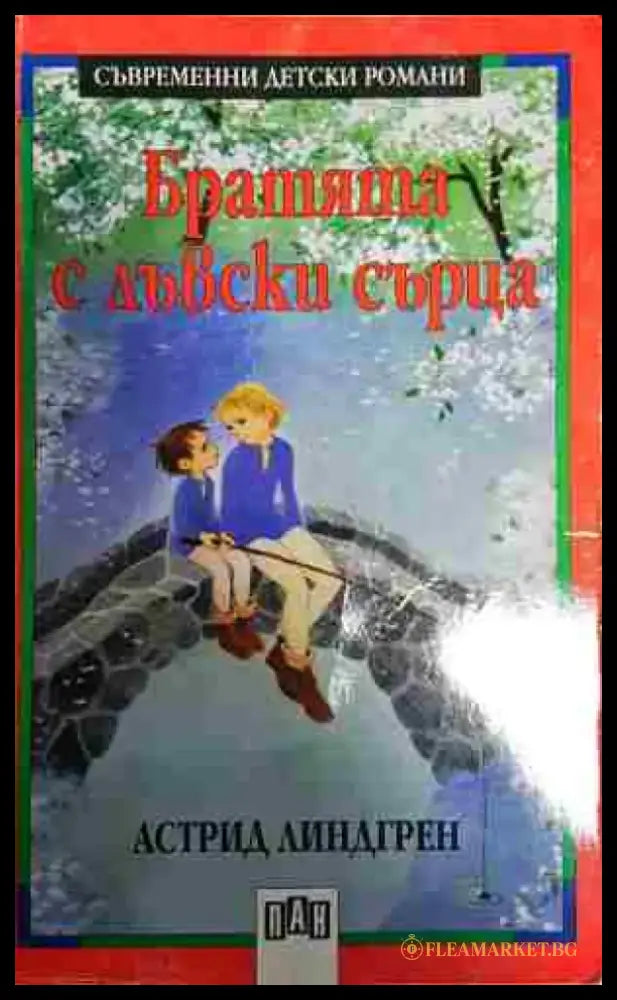 Братята с лъвски сърца - Книга