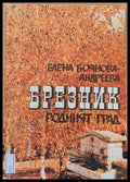 Брезник - родният град - Книги