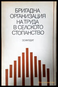 Бригадна организация на труда в селското стопанство (352205261240) - Колектив - Книга