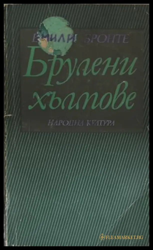 Брулени хълмове (172209261205) - Емили Бронте - Книга