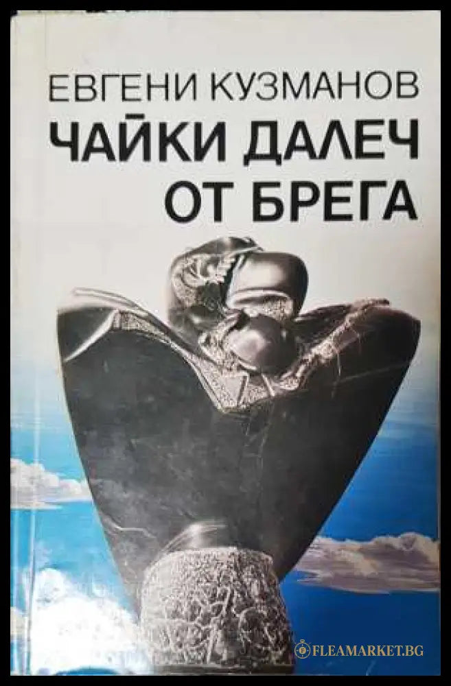 Чайки далеч от брега - Евгени Кузманов