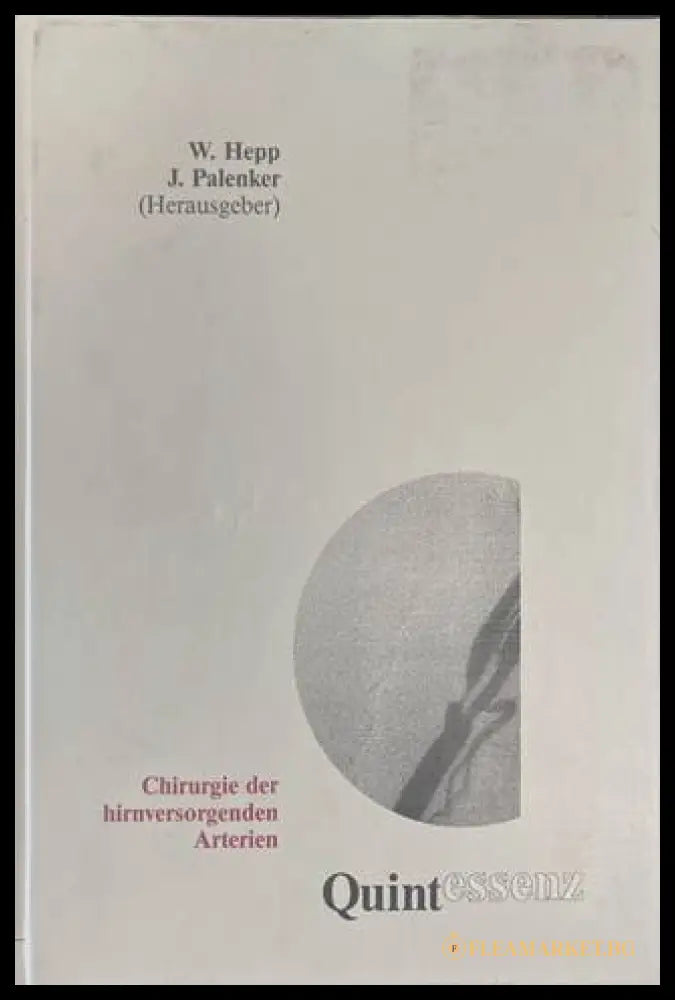 Chirurgie der hirnversorgenden Arterien - Hepp, Palenker