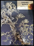 Cosmic bonsai. Burton style - Книги
