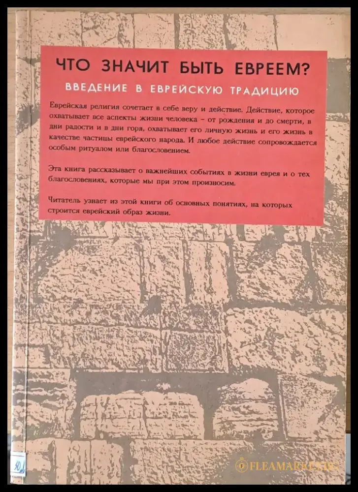 Что значит быть Евреем? Введение в Еврейскую традицию - Книги
