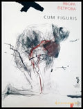 Cum Figuris (312605261230) - Явора Петрова - Книга
