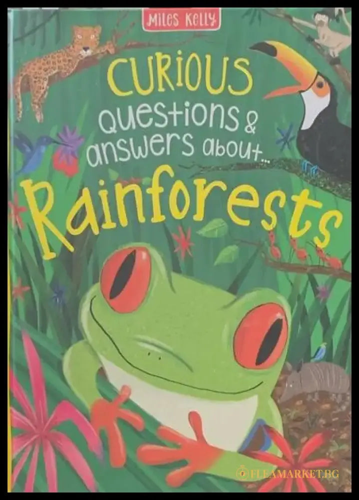Curius questions and answers about... Rainforests - Книги