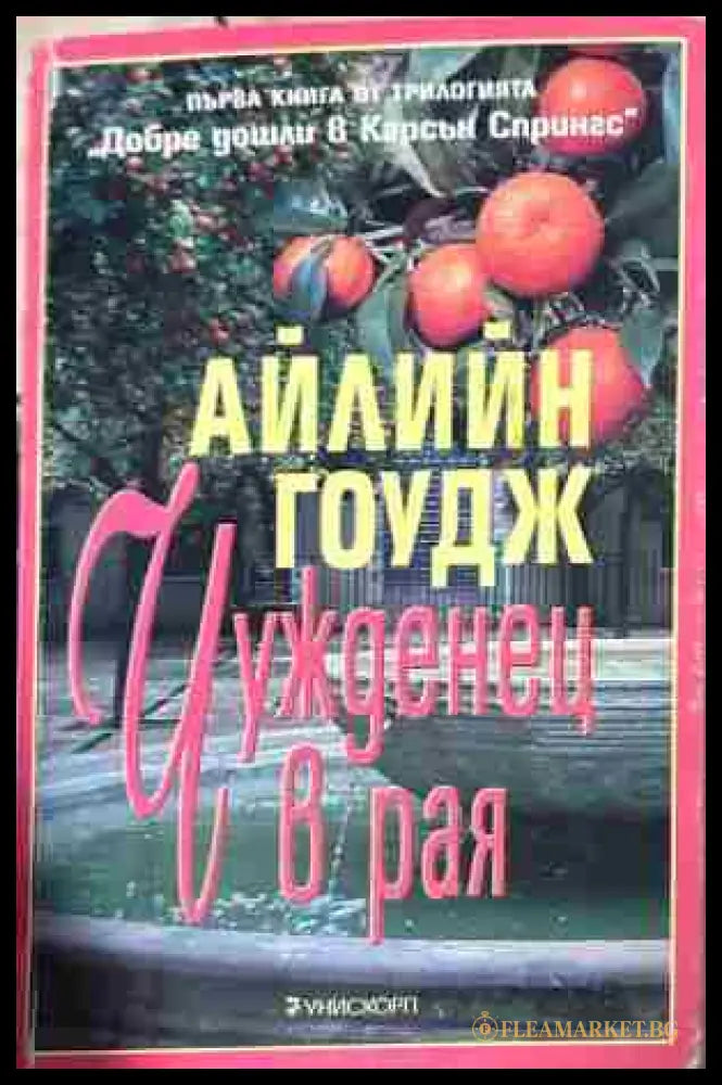 Корица на „Чужденец в рая“ от Айлин Гоудж