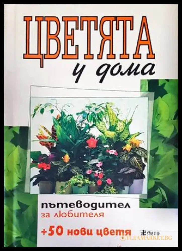 Цветята у дома. Книга 1 - Книги