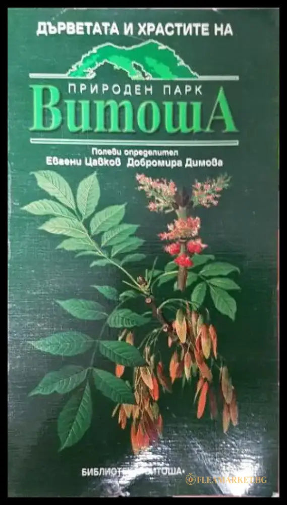 Дърветата и храстите на природен парк Витоша - Полеви определител (511) - Книга
