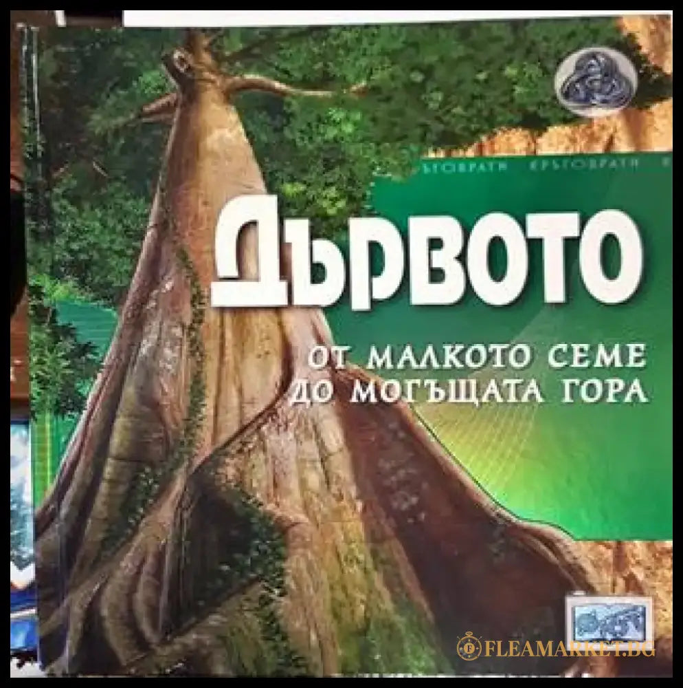 Дървото - от малкото семе до могъщата гора - Книга