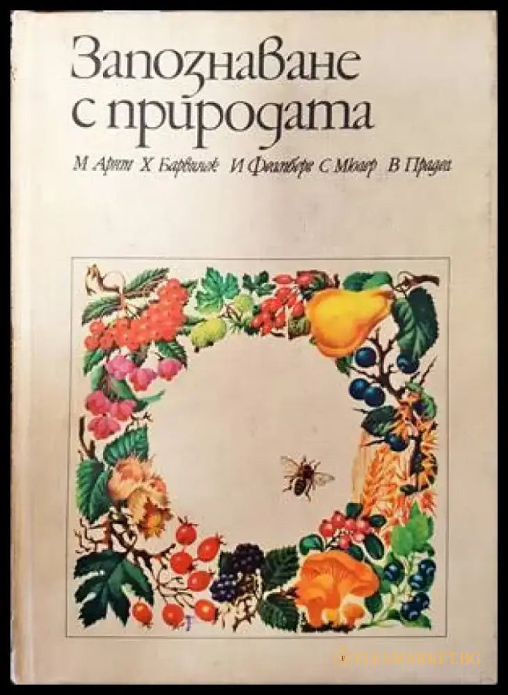 Das grosse Buch der Insekten - Книги