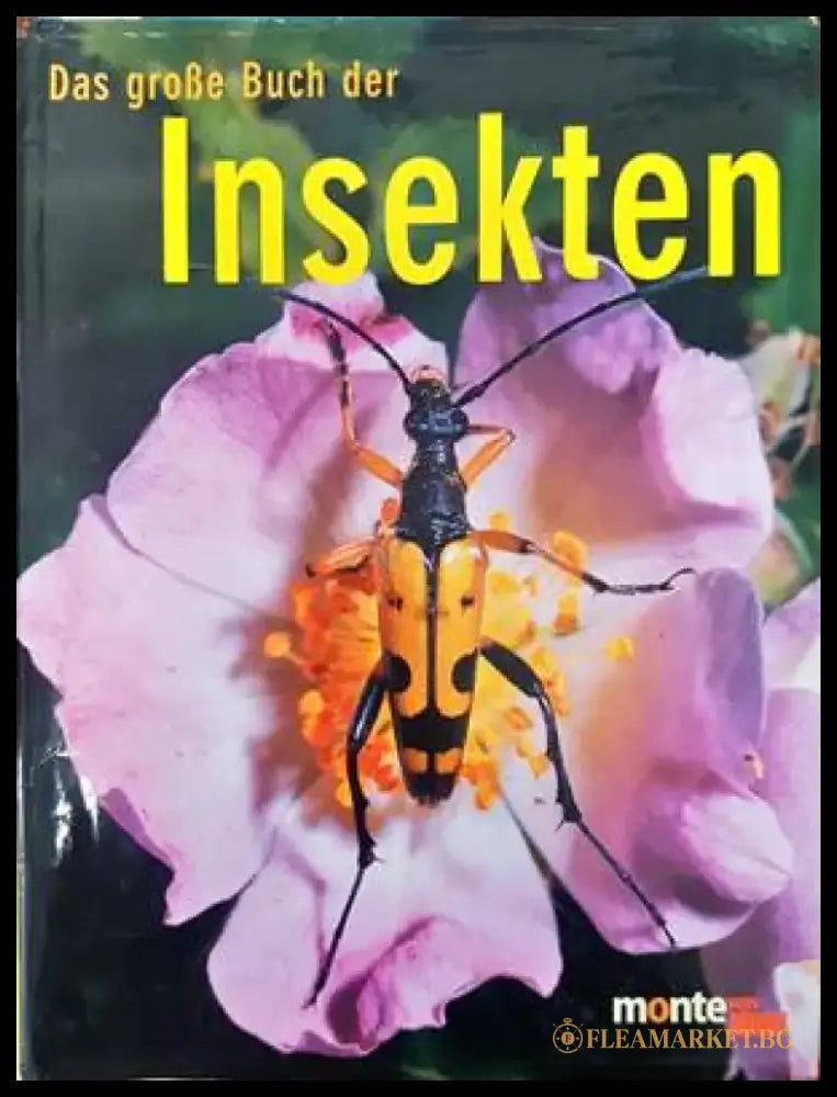 Das grosse Buch der Insekten - Книги