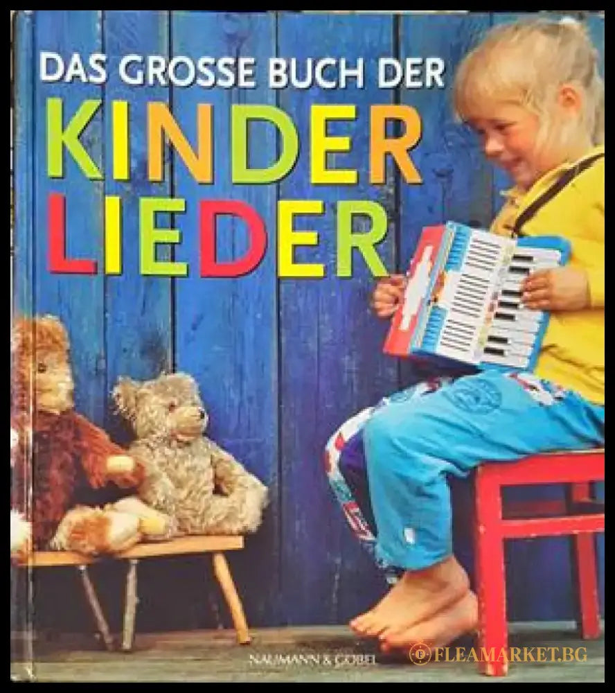 Das grosse Buch der Kinderlieder - Книги