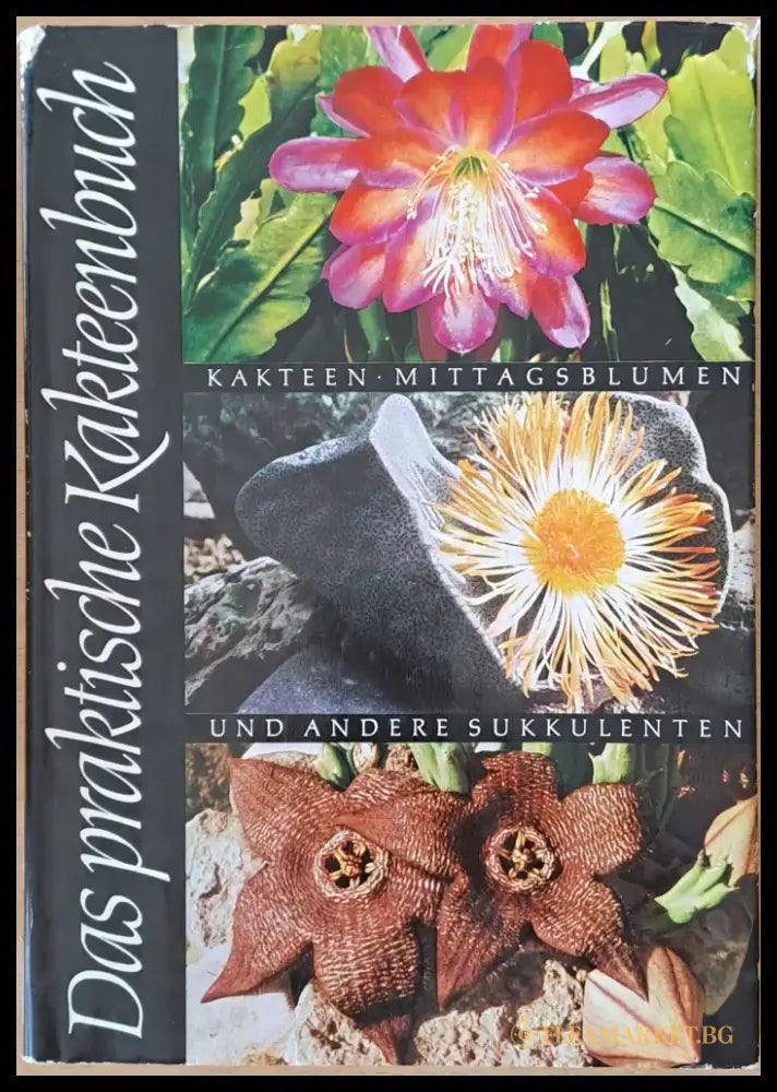 Das praktische Kakteenbuch - Книги