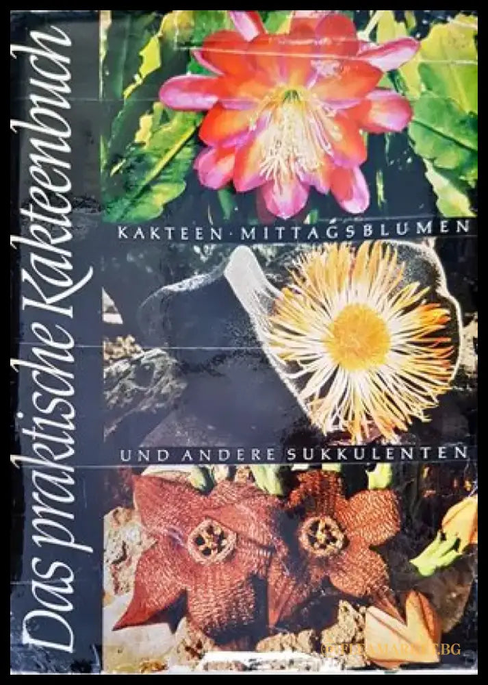 Das praktische Kakteenbuch in Farben - Книги