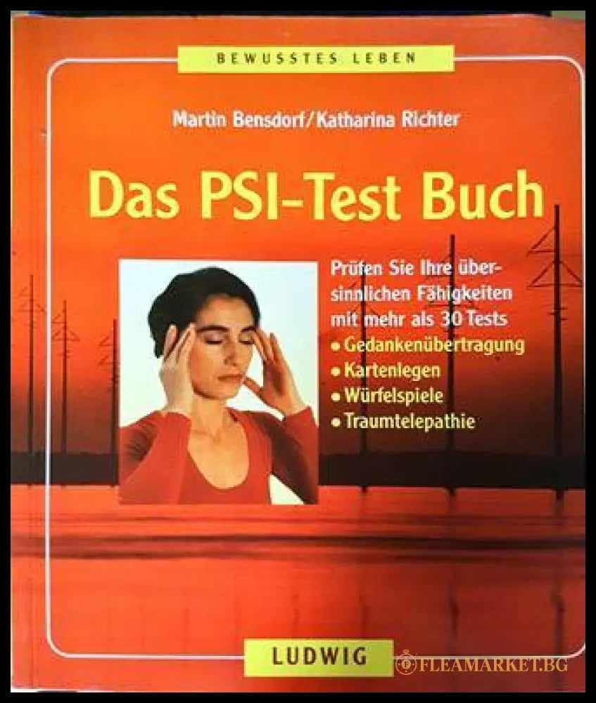 Das PSI-Test Buch - Martin Bensdorf, Katharina Richter