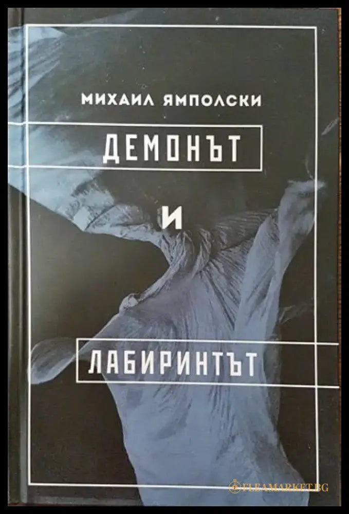 Демонът и лабиринтът (858) - Книга