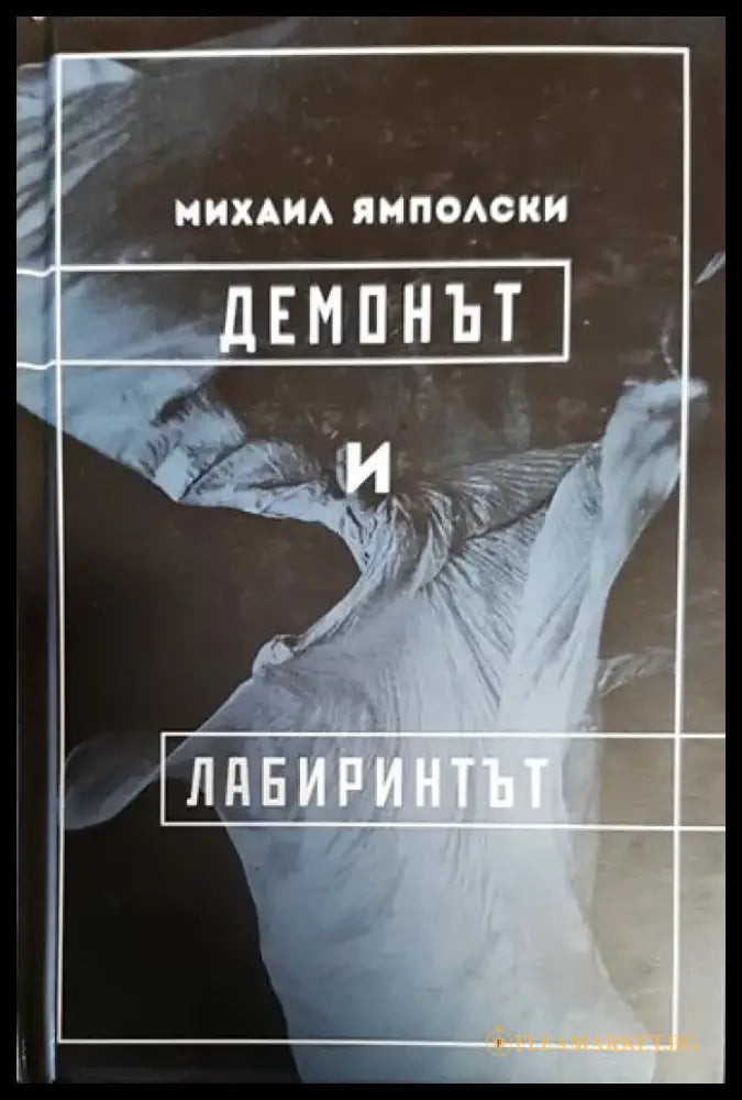 Демонът и лабиринтът - Книга