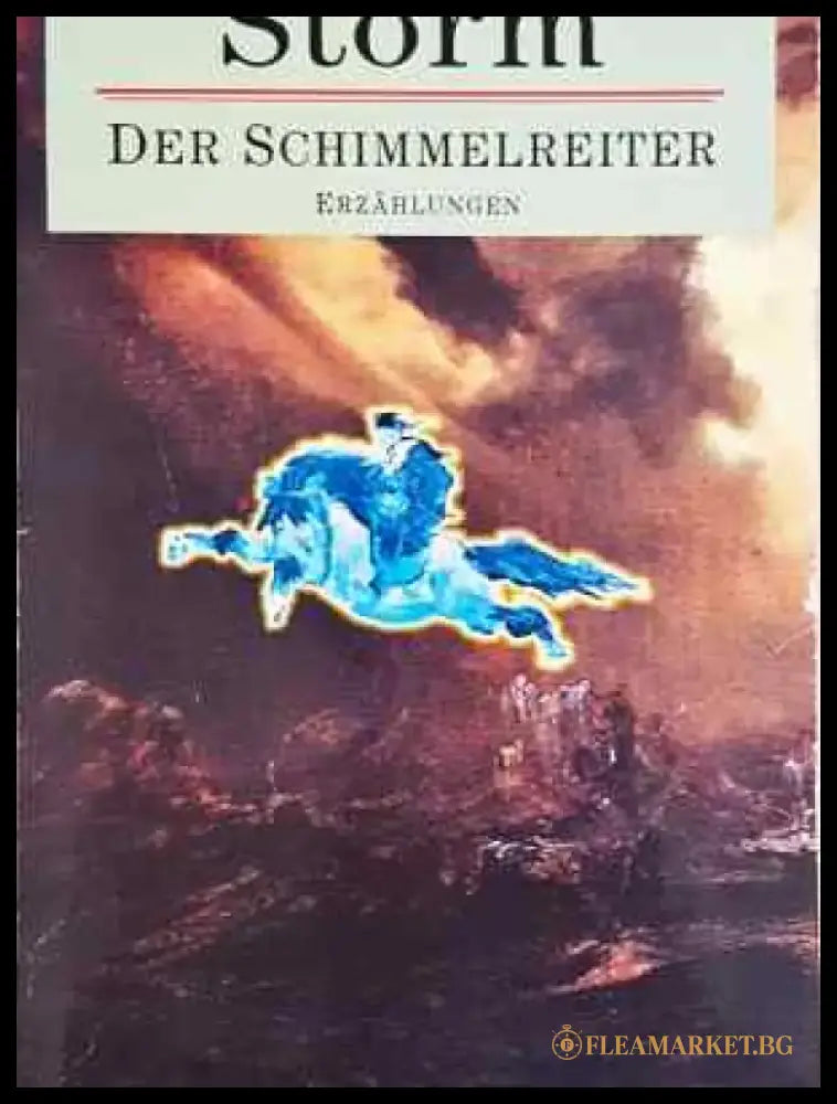 Der Schimmelreiter - Книга