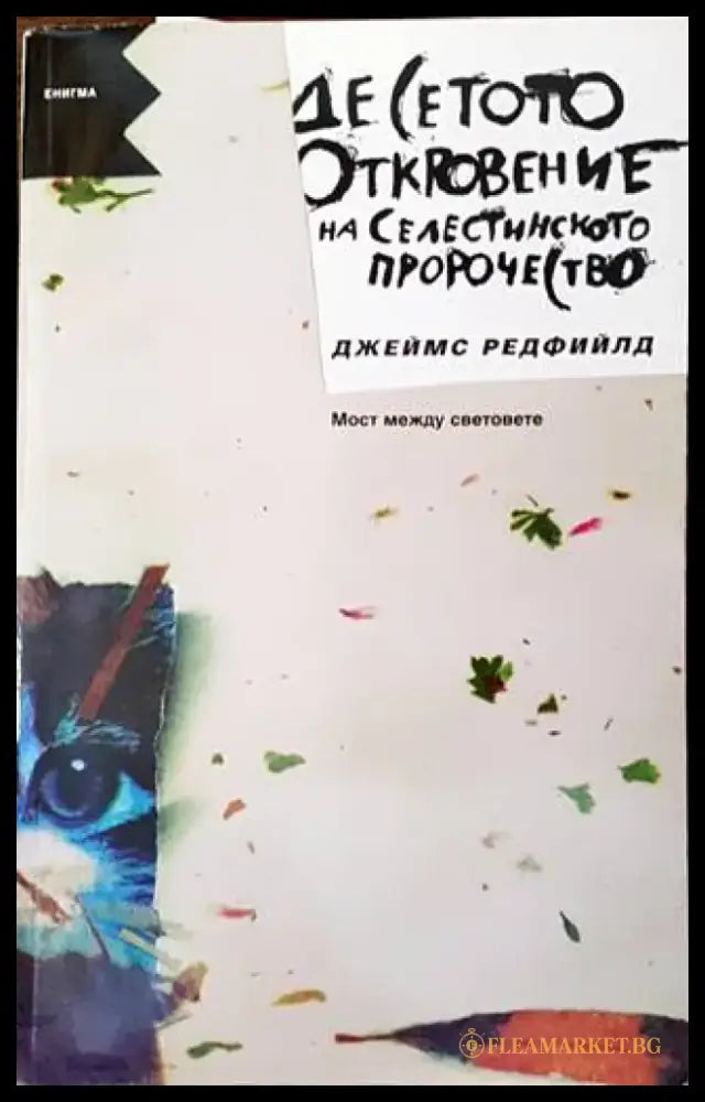 Десетото откровение от Селестинското пророчесто: Мост между световете (4912) - Книга