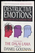 Destructive Emotions - Daniel Goleman