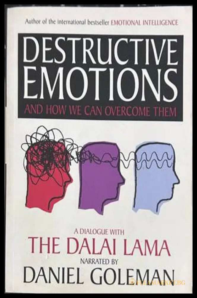Destructive Emotions - Daniel Goleman