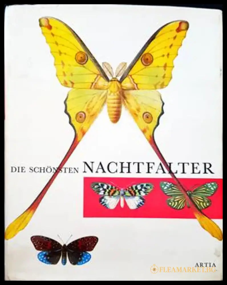 Die schhonsten nachtfalter - Книги