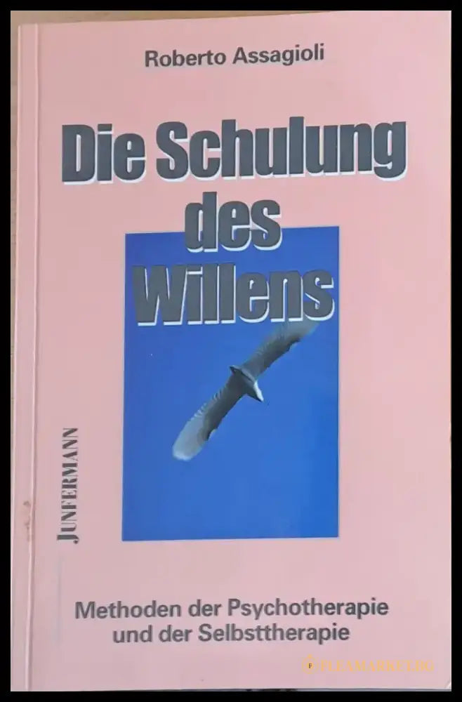 Die Schulung des Willens - Книги
