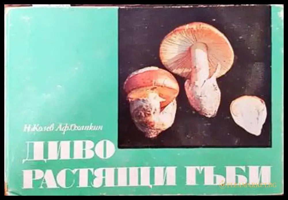 Диворастящи гъби - Книги