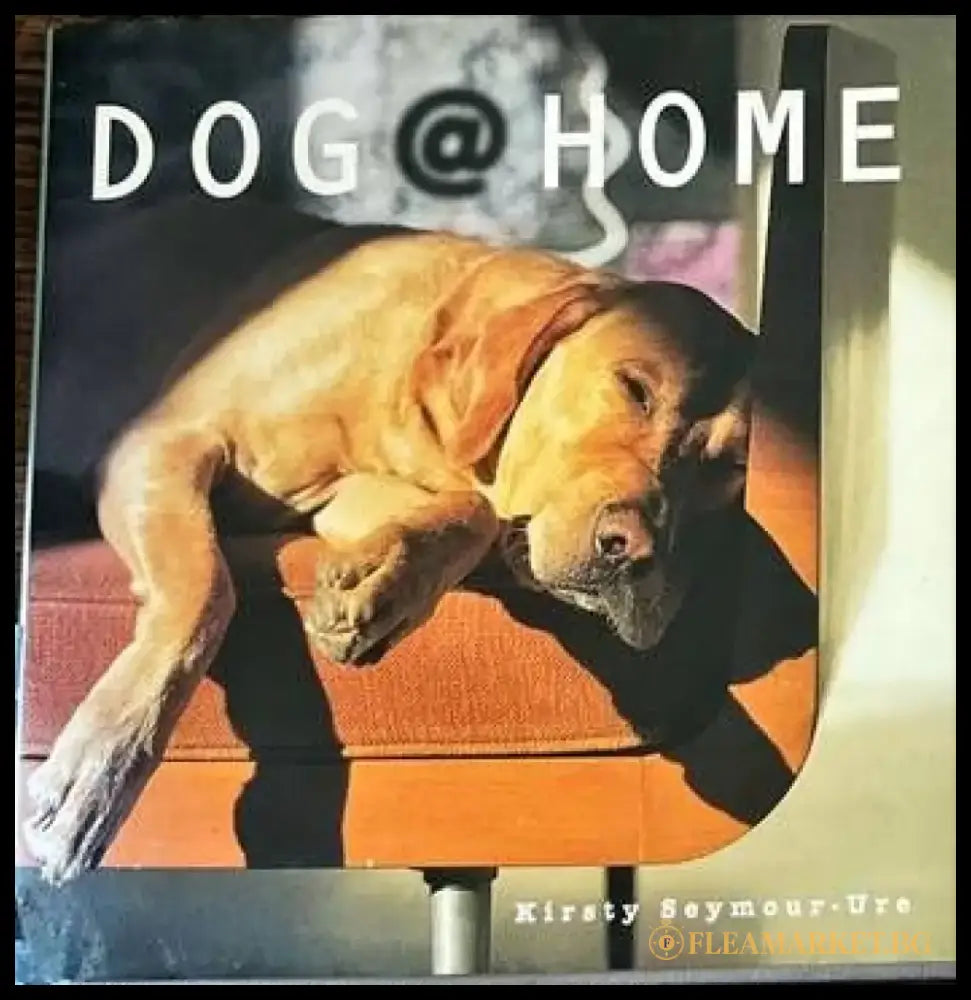 Dog Home - Книги