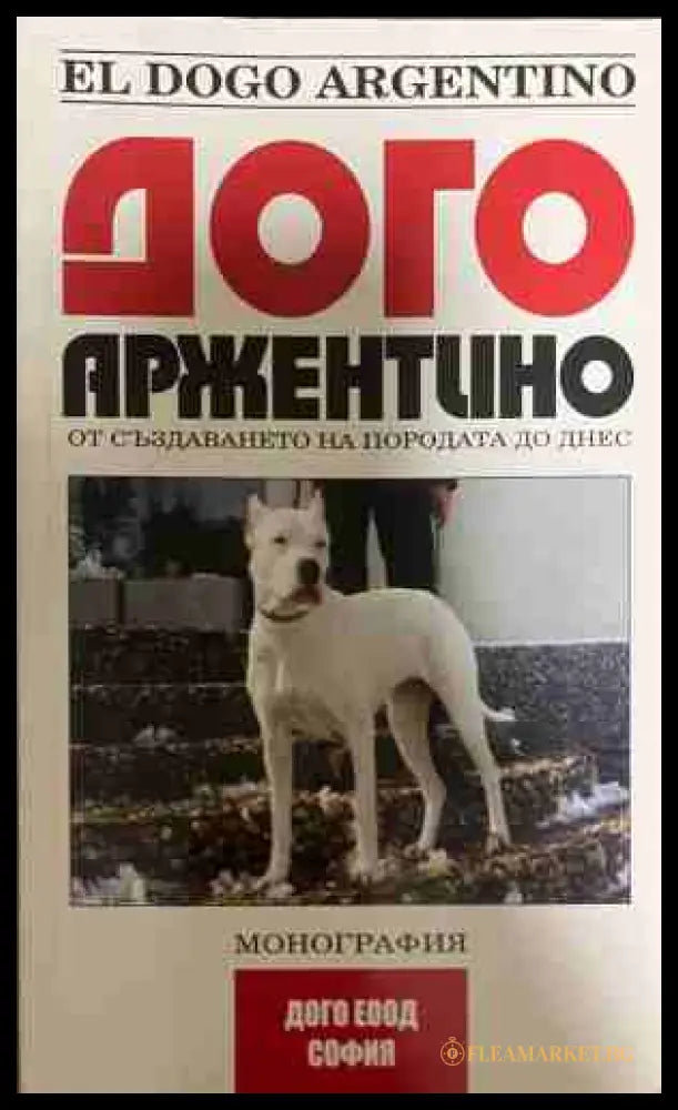 Дого Аржентино - Радостина Тонева