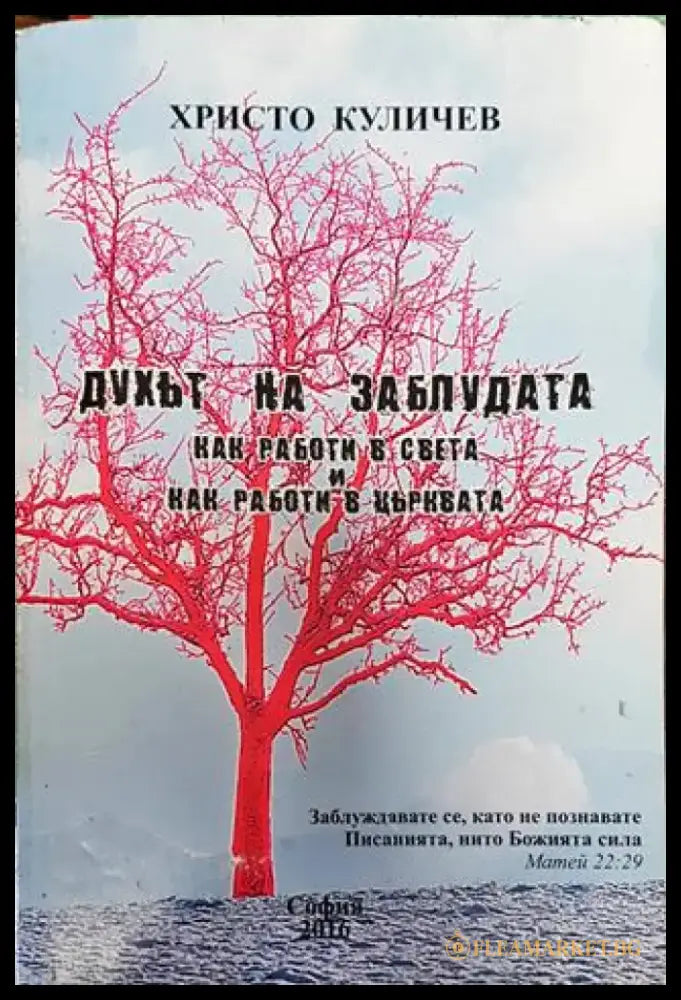 Духът на заблудата - Книга
