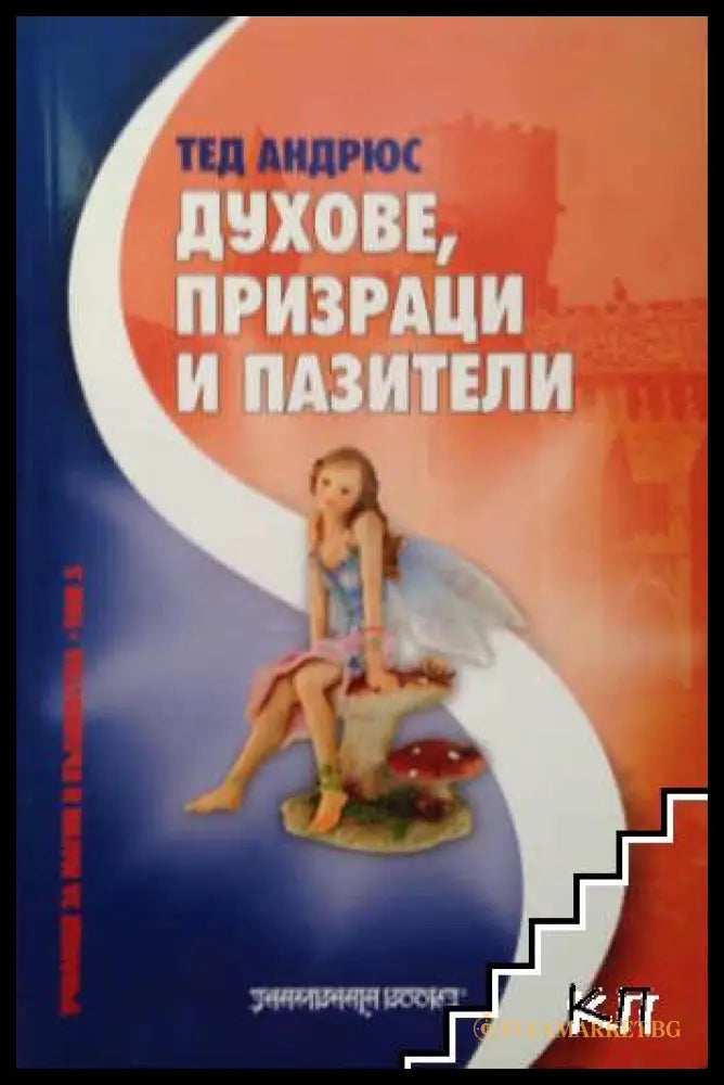 Корица на книгата Духове, призраци и пазители от Тед Андрюс