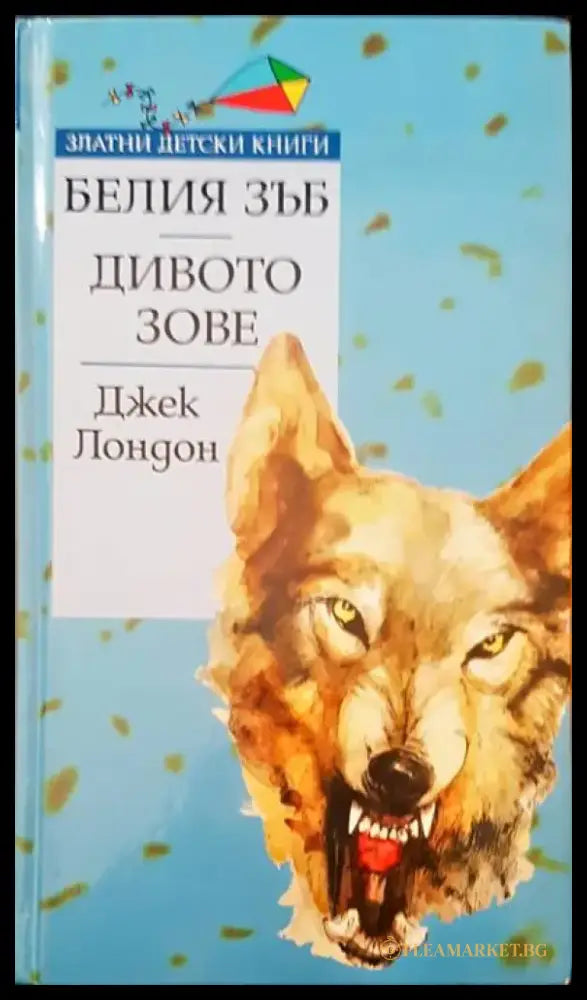 Духовни водачи на България (498) - Книга