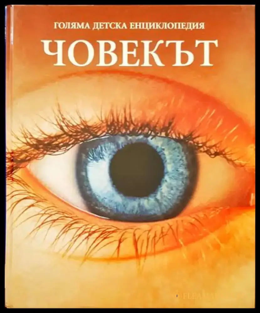 Духовни водачи на България (498) - Книга