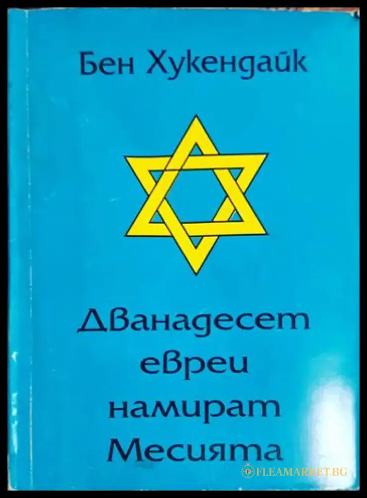 Дванадесет евреи намират Месията (1433) - Книга