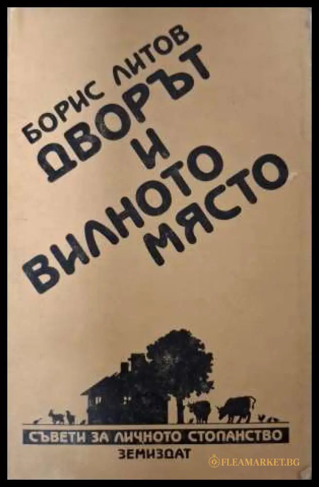 Дворът и вилното място - Борис Литов