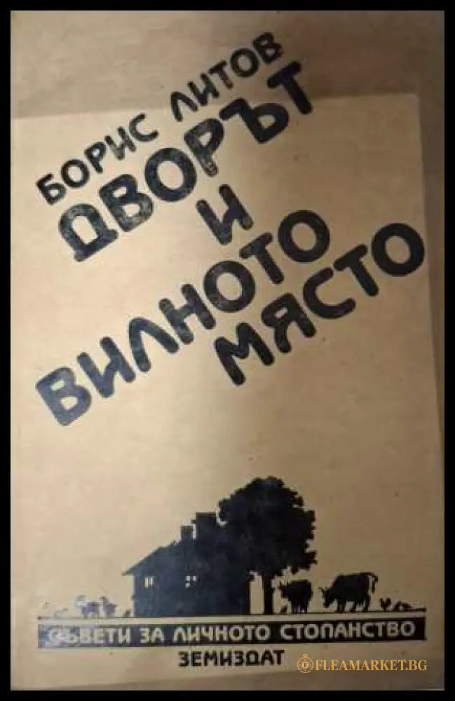 Дворът и вилното място - Борис Литов