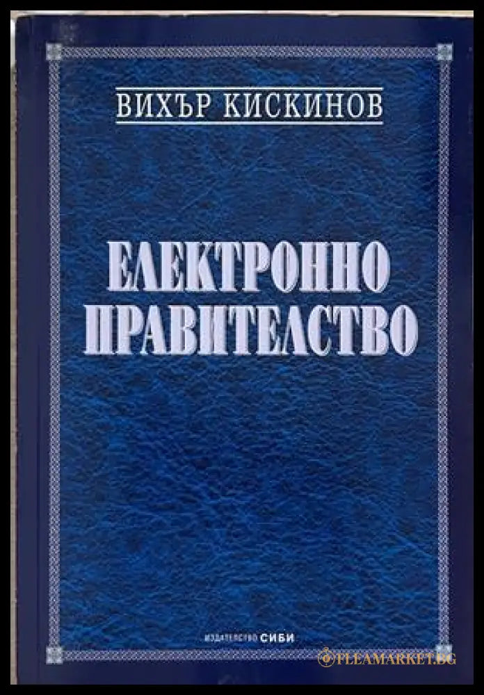 Електронно правителство - Вихър Кискинов