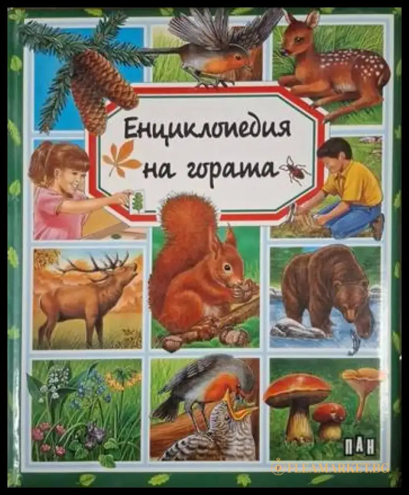 Енциклопедия на гората (241) - Книга