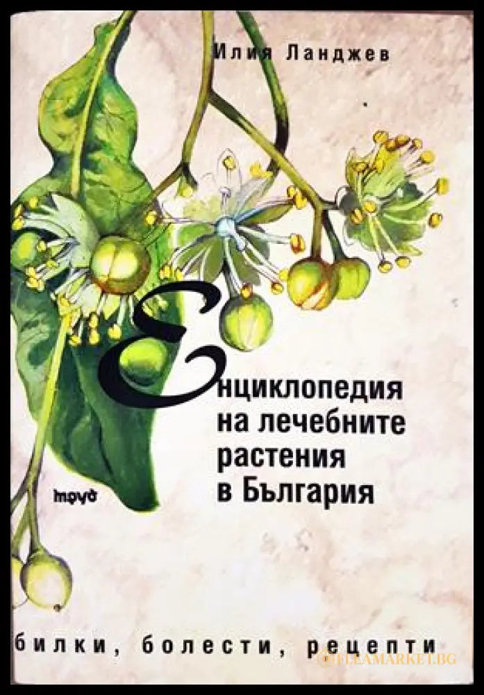 Енциклопедия на лечебните растения в България - Илия Ланджев