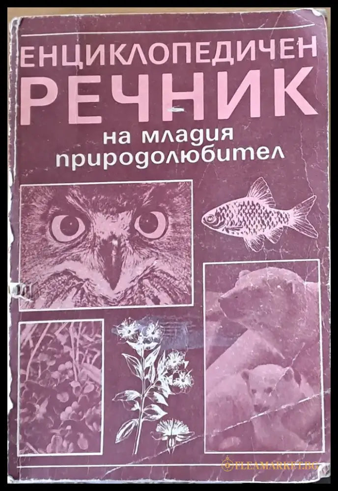 Енциклопедичен речник на младия природолюбител - Книги