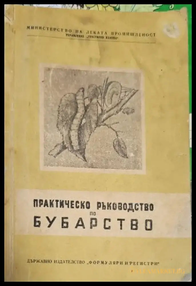 Encyclopaedia of planets & flowers - Книги