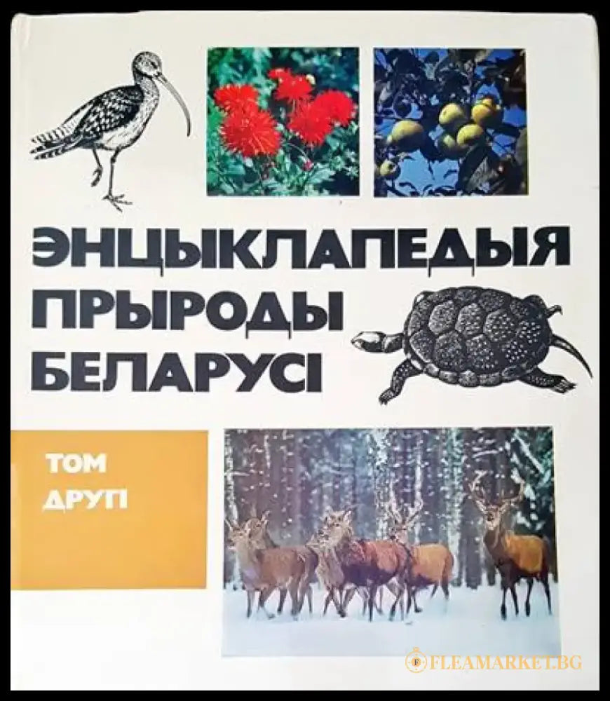 Энцыклапедыя прыроды беларусы - Книги