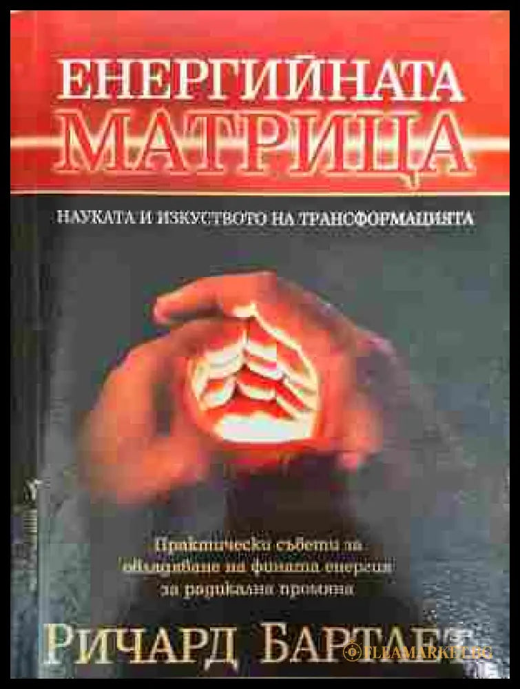 Енергийната матрица - Ричард Бартлет