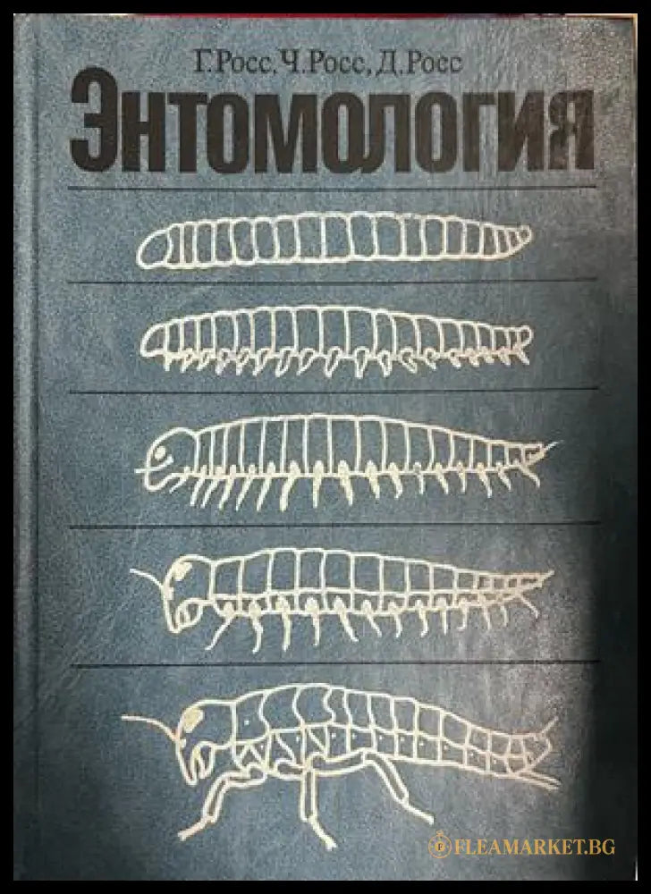 Корица на Энтомология