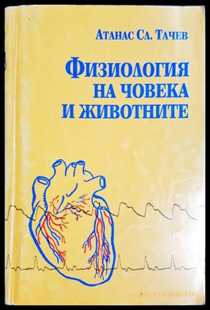 Физиология на човека и животните (332506261405) - Атанас Сл. Тачев - Книга
